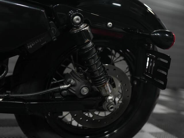 2013 Harley-Davidson XL1200X