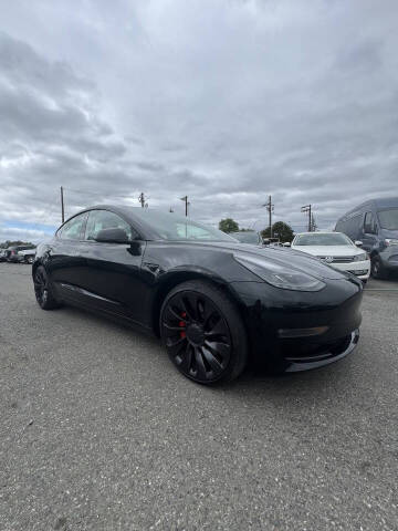 2023 Tesla Model 3 Performance Photo