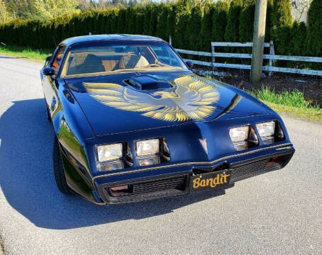 1979 Pontiac Trans Am for sale at Classic Car Deals in Cadillac MI