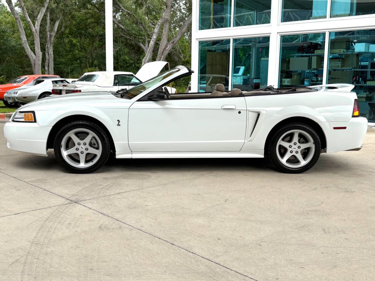1999 Ford Mustang SVT Cobra 10