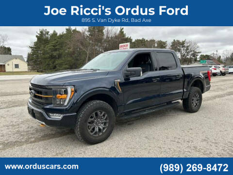 2022 Ford F-150 for sale at Joe Ricci's Ordus Ford in Bad Axe MI