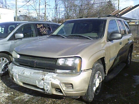 2004 Chevrolet TrailBlazer for sale at DONNIE ROCKET USED CARS in Detroit MI