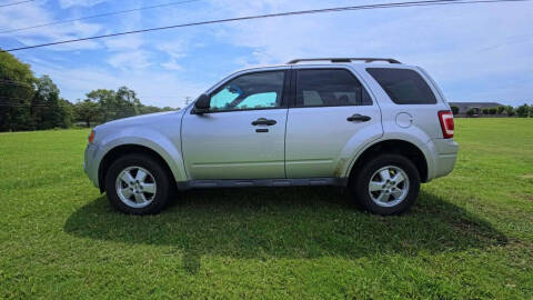 2010 Ford Escape XLT