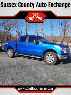 2014 Ford F-150 for sale at Sussex County Auto Exchange in Wantage NJ