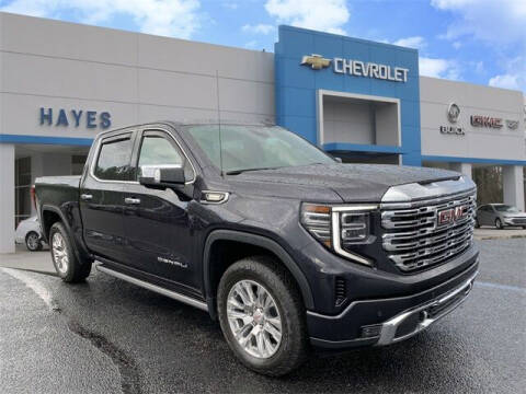 2022 GMC Sierra 1500 for sale at HAYES CHEVROLET Buick GMC Cadillac Inc in Alto GA