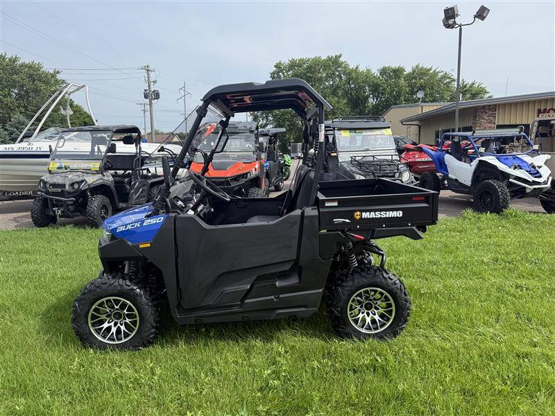 2025 Massimo Buck 250