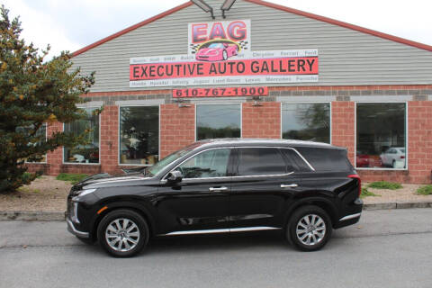 2023 Hyundai Palisade for sale at EXECUTIVE AUTO GALLERY INC in Walnutport PA