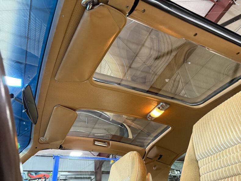 1981 Pontiac Firebird Trans Am