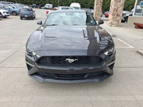 2022 Ford Mustang EcoBoost