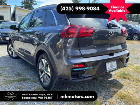 2019 Kia Niro EV EX
