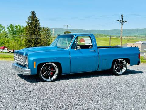 1979 Chevrolet C/K 10 Series for sale at All Collector Autos LLC in Bedford PA