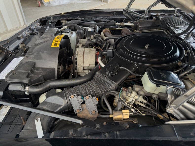 1981 Pontiac Firebird Trans Am