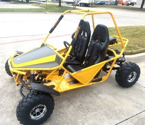 2020 200cc Batman Go Kart Automatic With Reverse