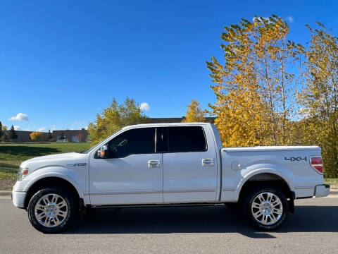 2013 Ford F-150 for sale at First Source Financial in Saint Paul MN