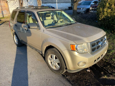 2011 Ford Escape XLT
