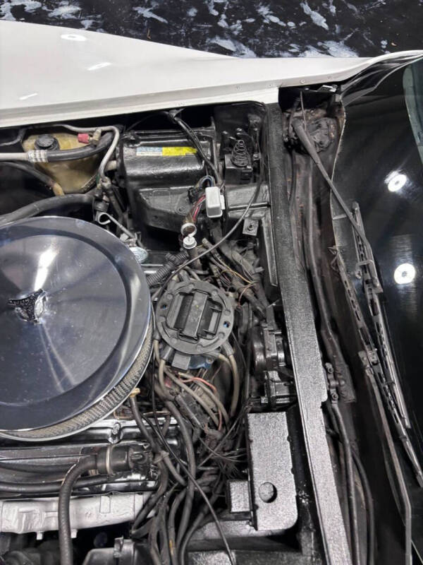 1981 Chevrolet Corvette