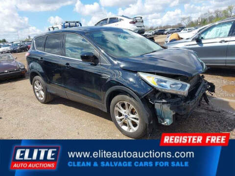2017 Ford Escape SE Photo