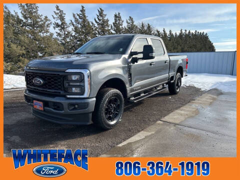 2024 Ford F-250 Super Duty for sale at Whiteface Ford in Hereford TX