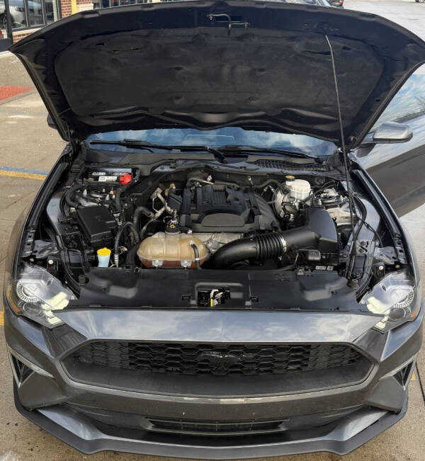 2019 Ford Mustang EcoBoost