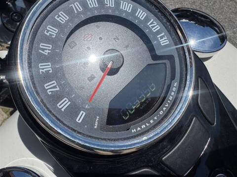 2018 Harley-Davidson FLSL -