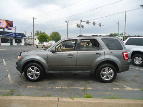 2011 Ford Escape for sale at Tom Cater Auto Sales in Toledo OH