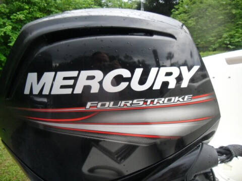 2019 Bayliner Element E18