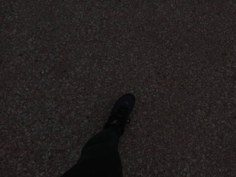 2009 Chevrolet TrailBlazer