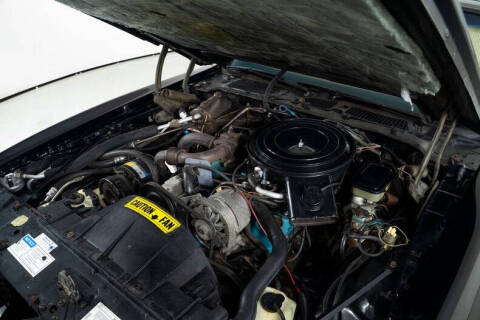 1981 Pontiac Trans Am