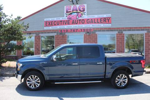 2016 Ford F-150 for sale at EXECUTIVE AUTO GALLERY INC in Walnutport PA