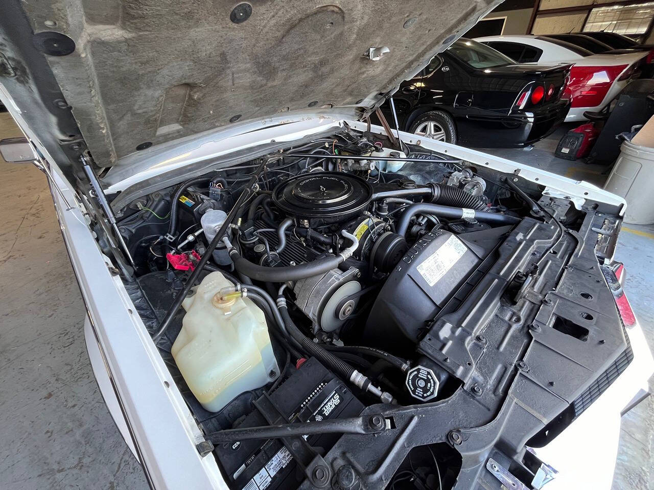 1985 Cadillac Seville for sale at Carnival Car Company in Victoria, TX