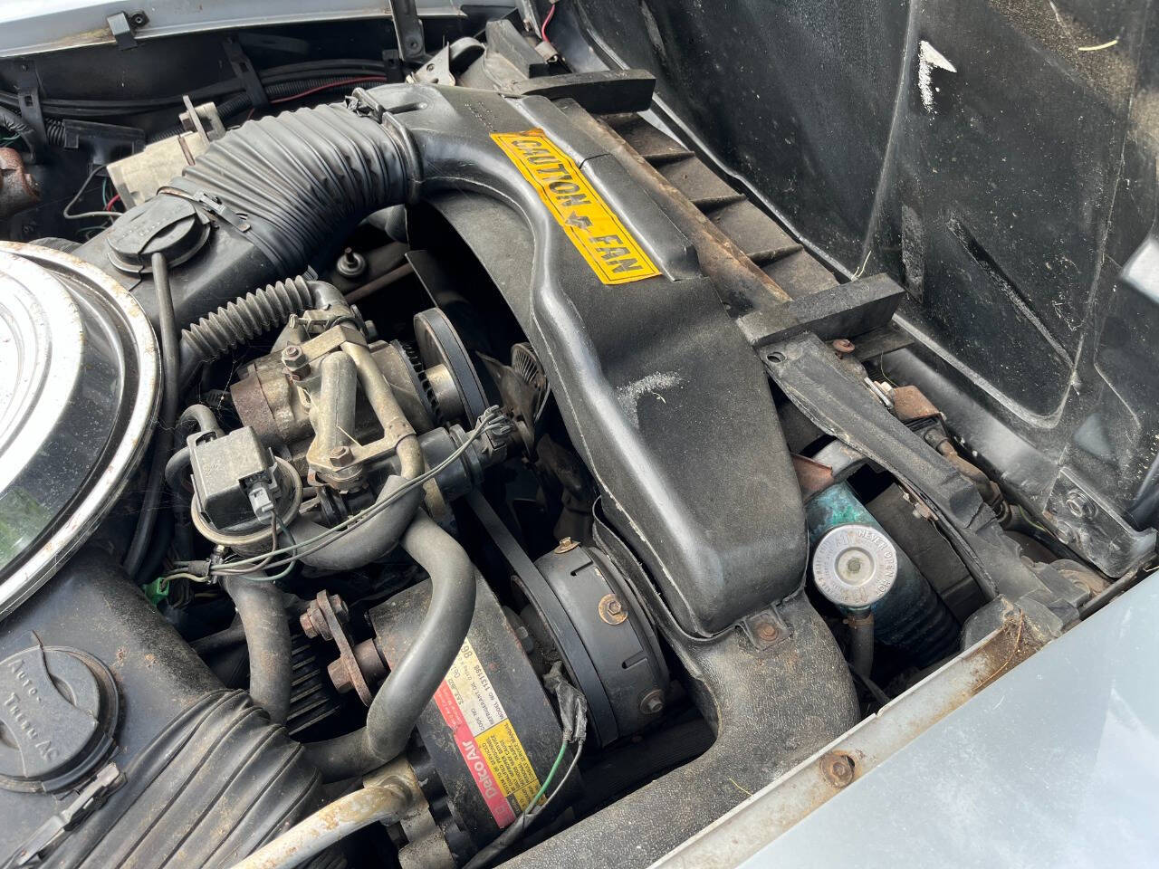 1981 Chevrolet Corvette 16