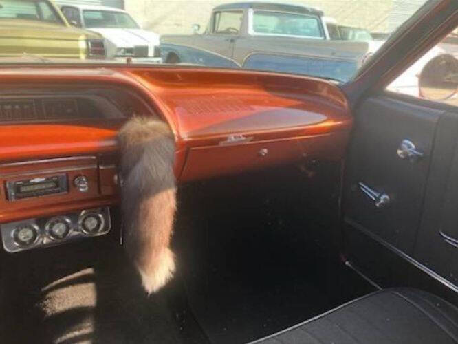 1964 Chevrolet Bel Air