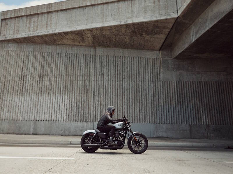 2020 Harley-Davidson Iron 883