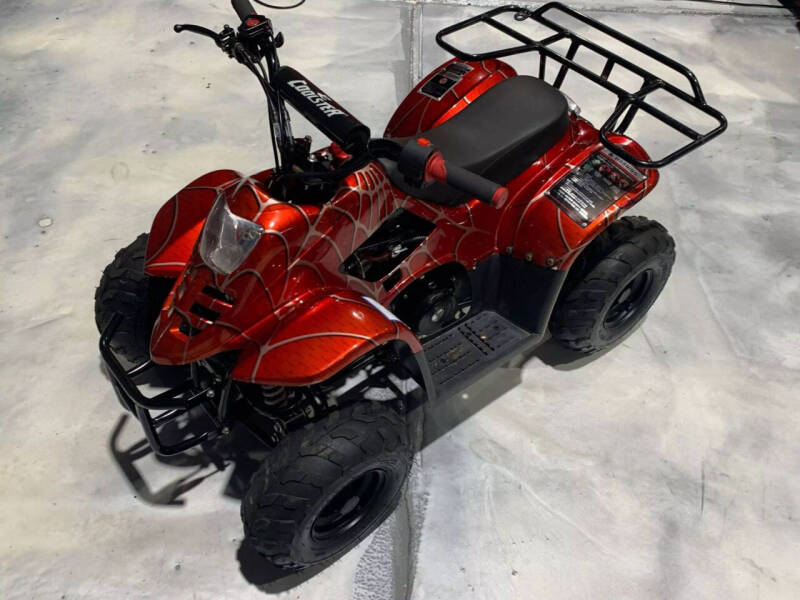 2019 Coolster Mountopz 110