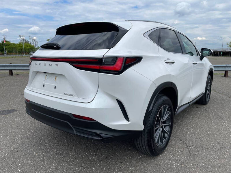 2024 Lexus NX 250