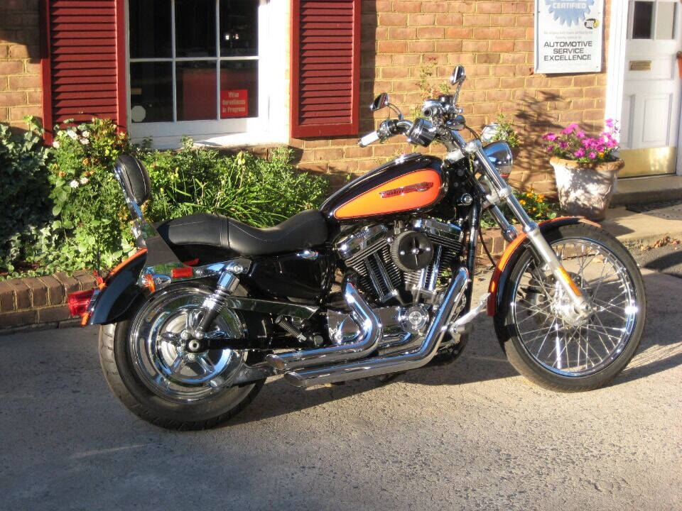 2009 Harley-Davidson Sportster 1200 Custom for sale at Auto Link Inc in Hamilton, VA