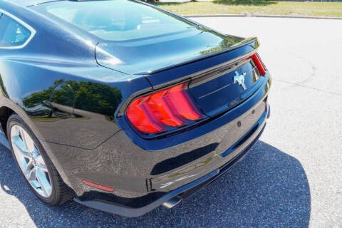 2019 Ford Mustang