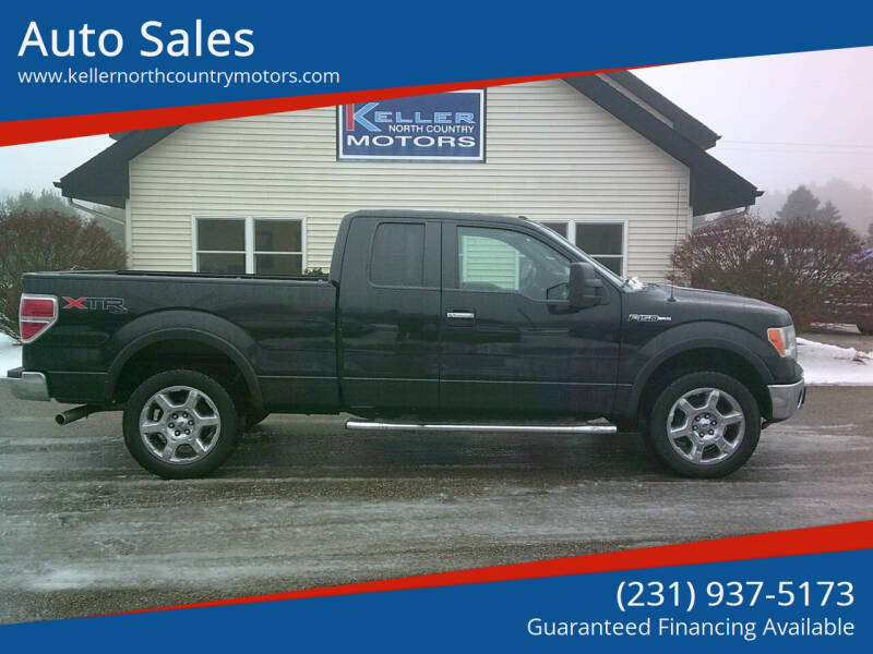 2013 Ford F-150 for sale at Keller North Country Motors in Howard City MI