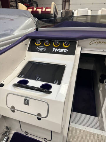 2002 Cigarette Tiger