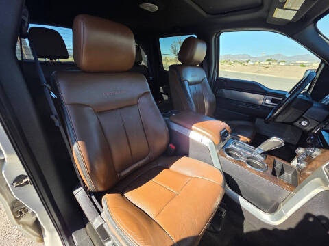 2013 Ford F-150 Platinum