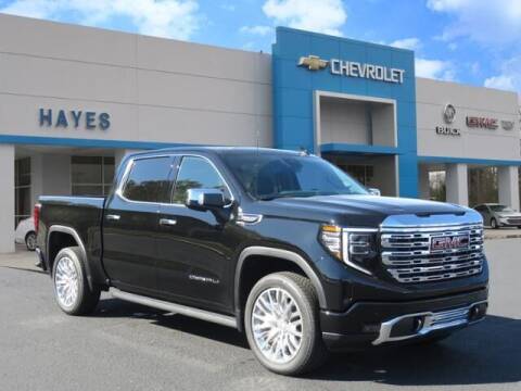 2022 GMC Sierra 1500 for sale at HAYES CHEVROLET Buick GMC Cadillac Inc in Alto GA