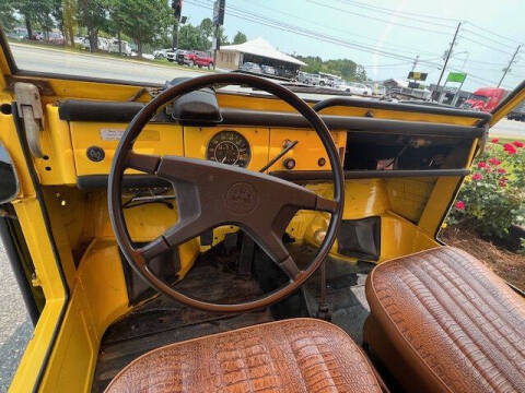 1973 Volkswagen Thing