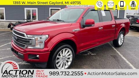 2020 Ford F-150 for sale at Action Motor Sales in Gaylord MI
