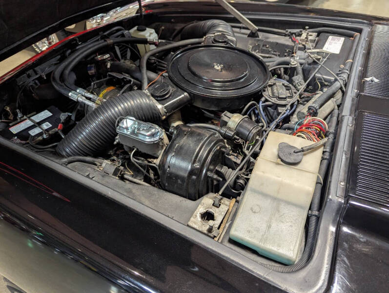 1984 Avanti II