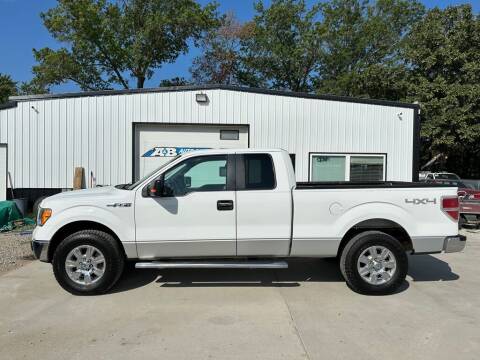 2010 Ford F-150 for sale at A & B AUTO SALES in Chillicothe MO