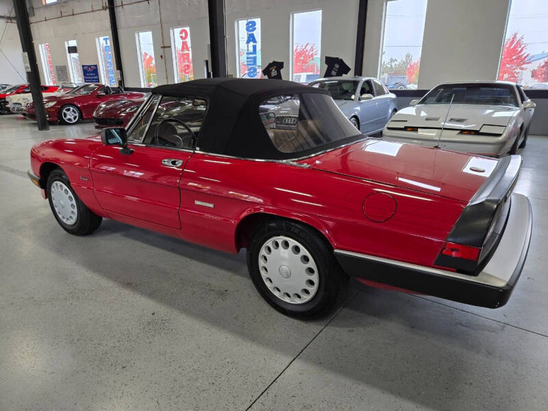 1989 Alfa Romeo Spider Graduate