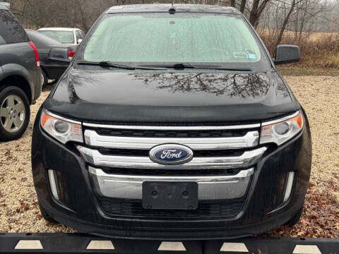 2011 Ford Edge for sale at DISTINCT AUTO GROUP LLC in Kent OH