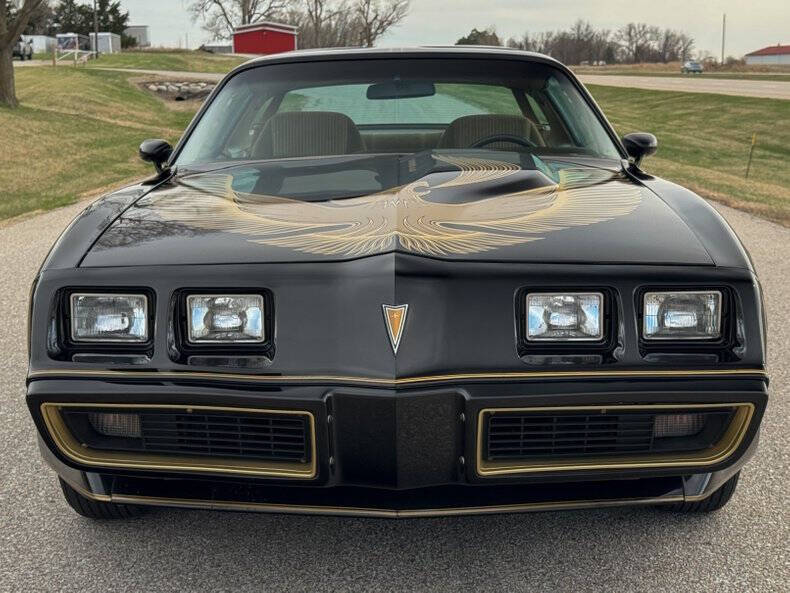 1981 Pontiac Firebird Trans Am
