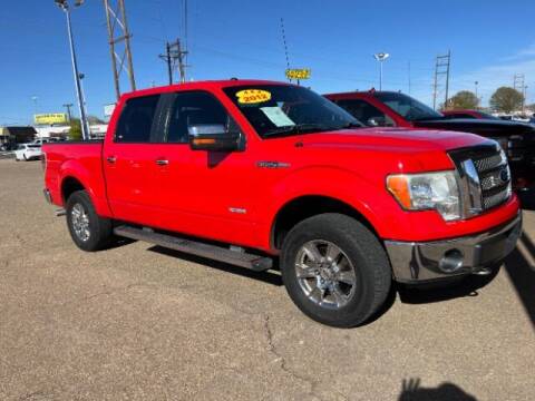 2012 Ford F-150 for sale at BUDGET CAR SALES in Amarillo TX