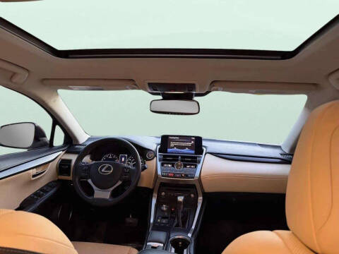 2019 Lexus NX 300 F SPORT